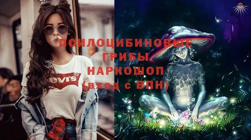 Псилоцибиновые грибы Psilocybe  Заозёрск 